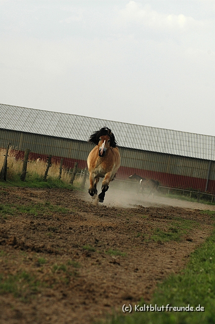DSC_7899.JPG - Texel PETRA !)))