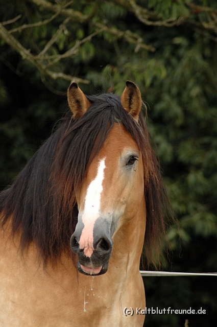 DSC_7914.JPG - Texel PETRA !)))