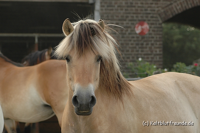 DSC_7930.JPG - Texel PETRA !)))