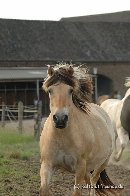 DSC_7934.JPG - Texel PETRA !)))