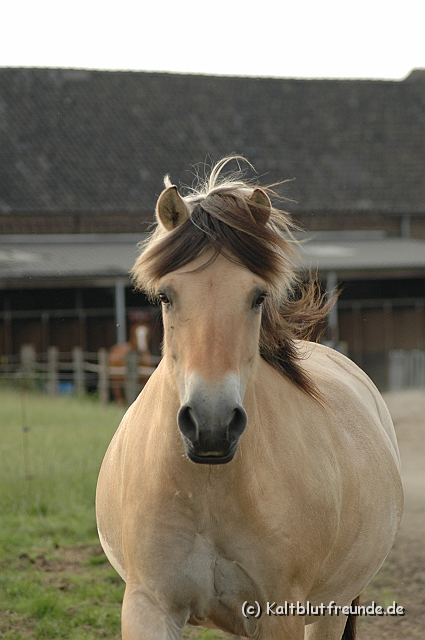 DSC_7935.JPG - Texel PETRA !)))