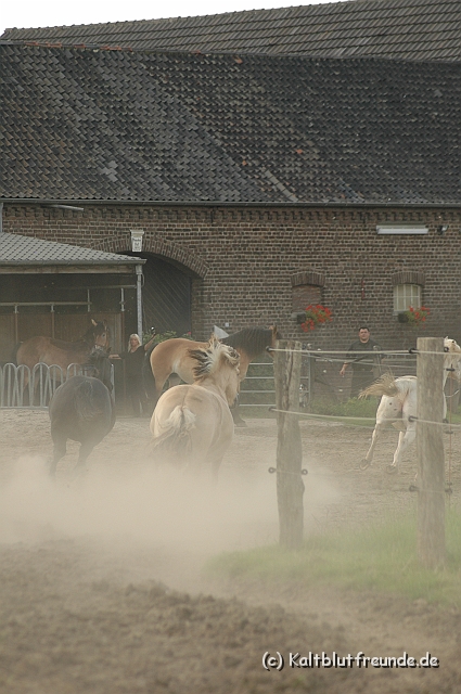 DSC_7936.JPG - Texel PETRA !)))