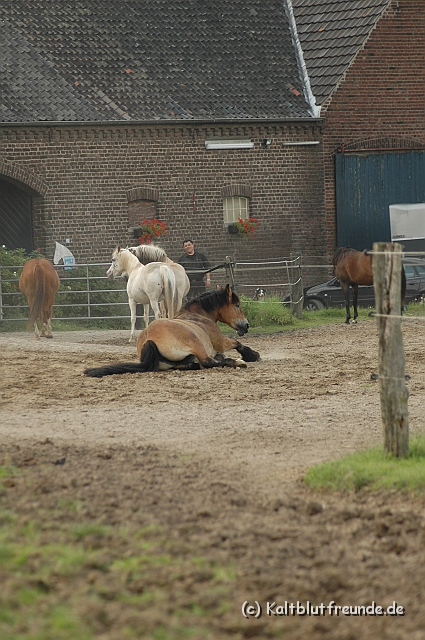 DSC_7938.JPG - Texel PETRA !)))