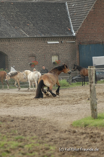 DSC_7940.JPG - Texel PETRA !)))