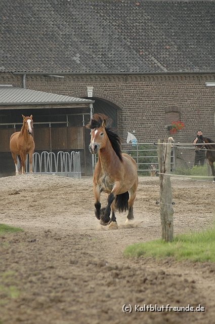 DSC_7941.JPG - Texel PETRA !)))