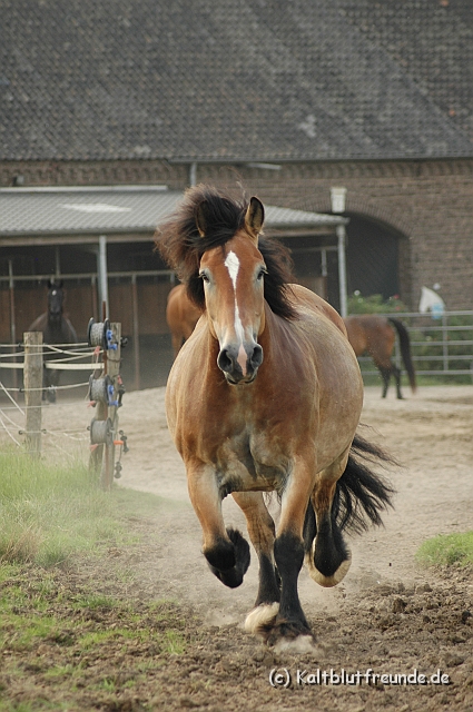 DSC_7947.JPG - Texel PETRA !)))