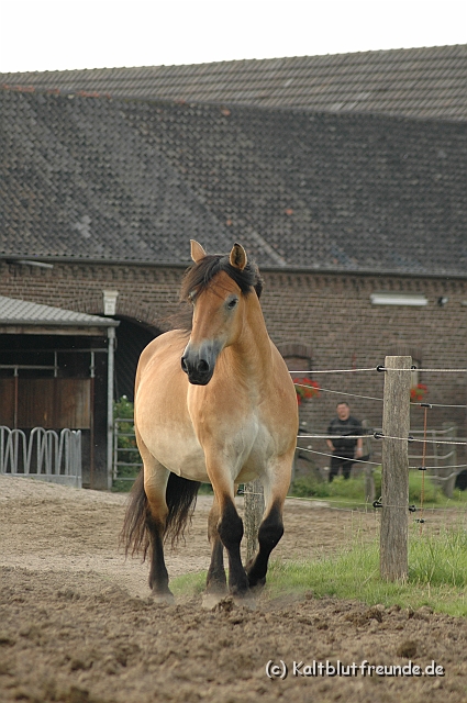 DSC_7984.JPG - Texel PETRA !)))