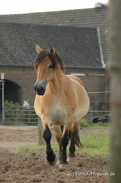 DSC_7987.JPG - Texel PETRA !)))