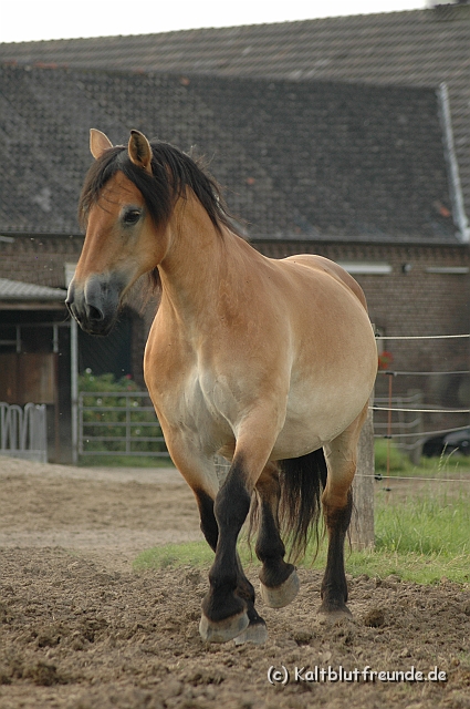 DSC_7988.JPG - Texel PETRA !)))