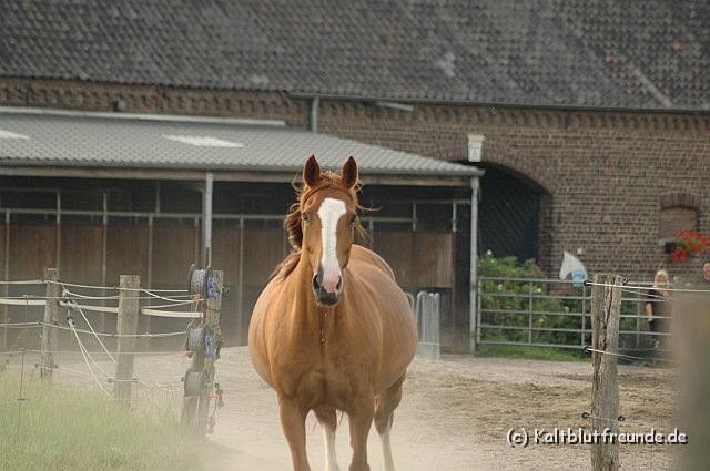 DSC_7997.JPG - Texel PETRA !)))