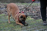 IMG_1001