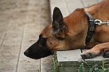 IMG_1790