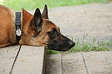 IMG_1806