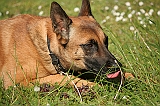 IMG_1823