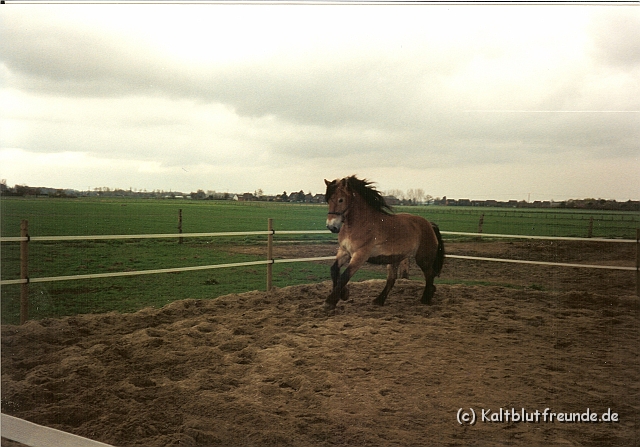 Scannen0021.jpg