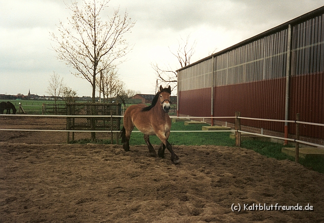 Scannen0023.jpg