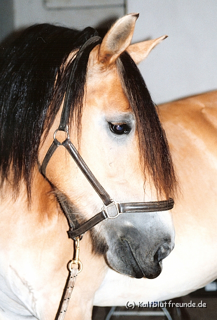 Scannen0137.jpg