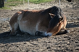 IMG_1259