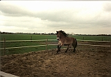 Scannen0021