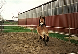 Scannen0022