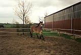 Scannen0023