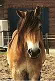 Scannen0025