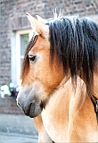 Scannen0135