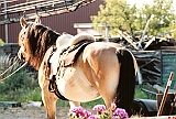 Scannen0138
