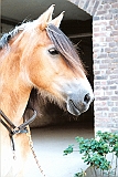Scannen0150