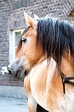 Scannen0151