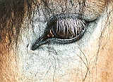 Scannen0174