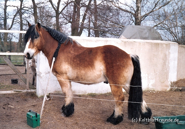 Scannen0020.jpg