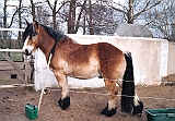 Scannen0020