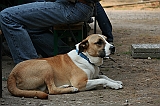 IMG_1977