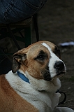 IMG_1978