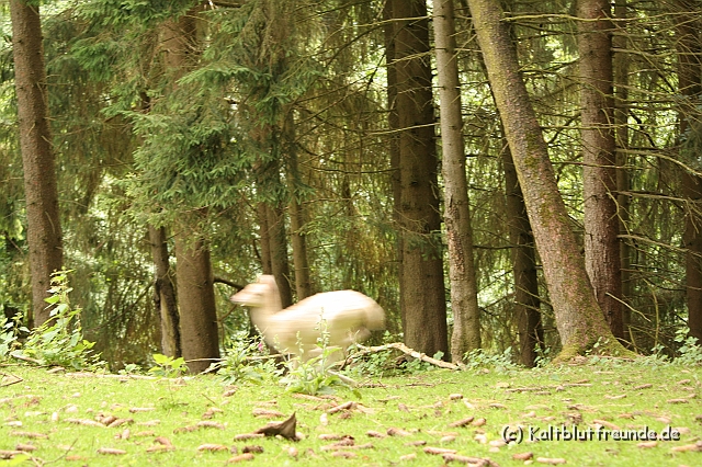 IMG_2720.JPG