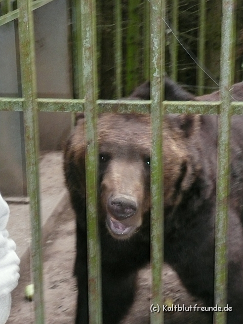 P1000179.JPG