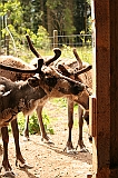 IMG_2705