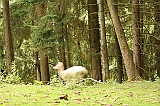 IMG_2720