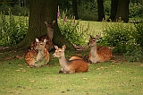 IMG_2764