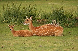IMG_2768