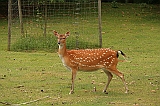 IMG_2770