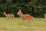 IMG_2772