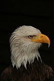 IMG_2784