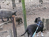 P1000147
