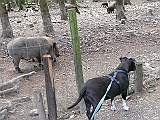 P1000148