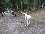 P1000156