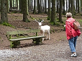 P1000160