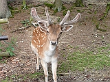 P1000164