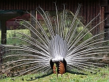 P1000173
